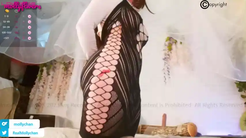 Mollyflwers – Chaturbate Video Stream Recording – 2025-11-02 19:01:02