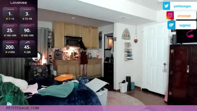 Petitesage – Myfreecams Video Stream Recording – 2026-02-14 00:08:02