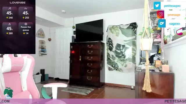 Petitesage – Myfreecams Video Stream Recording – 2025-08-01 20:47:58