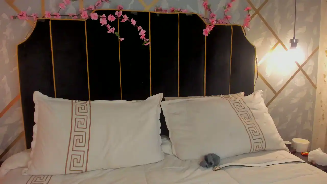 Emilyv – Xlovecam Video Stream Recording – 2025-12-02 15:17:55