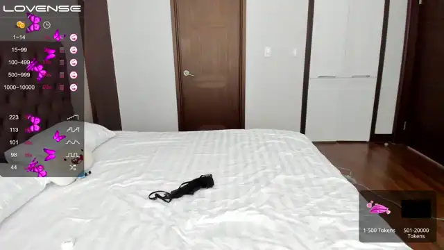 Seon_mi – Myfreecams Video Stream Recording – 2025-12-17 10:43:24