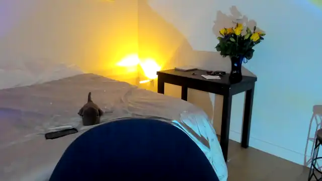 Nancy_morris – Myfreecams Video Stream Recording – 2025-04-23 13:46:35