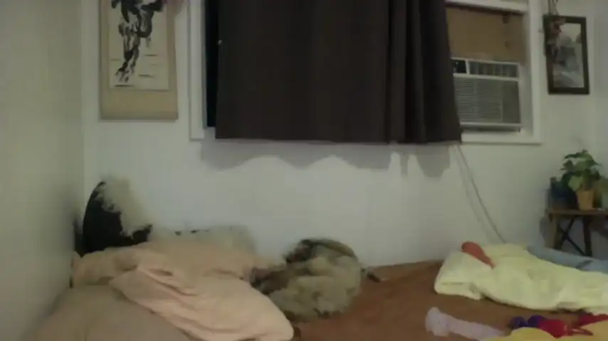 Bambidear420 – Chaturbate Video Stream Recording – 2026-03-17 22:02:12