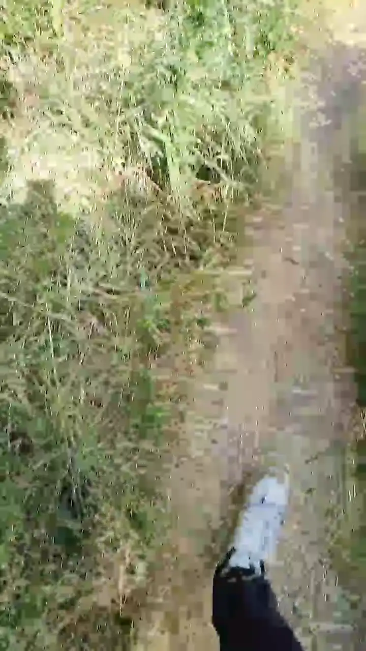 Emanuele033 – Cam4 Video Stream Recording – 2026-04-26 00:03:42